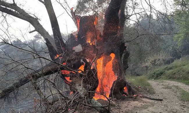 Νέες περίεργες φωτιές: Πύρινη κόλαση στα Χανιά – Απειλούνται σπίτια – Απεγκλωβισμός ατόμων στην Κίσσαμο